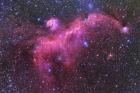 かもめ星雲/IC2177/Seagull Nebula/