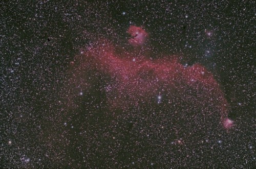 IC2177_Seagull Nebula_ワシ星雲_かもめ星雲_1024