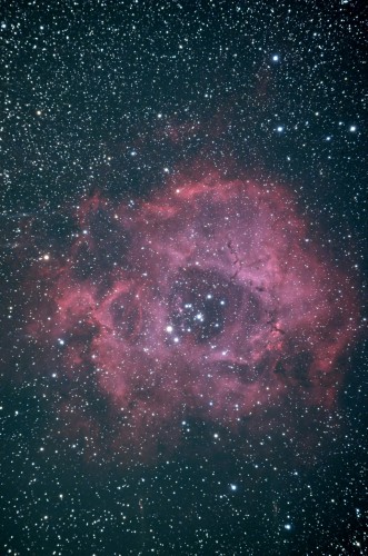 NGC2237_Caldwell49_The Rosette Nebula _バラ星雲_1024